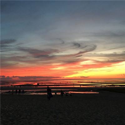 万博体育官方app