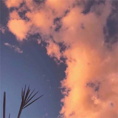 BOB体育综合官方APP下载8